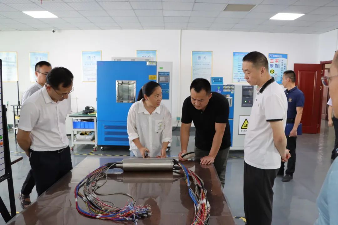草莓视频APP下载官方污科技总经理向政府领导及专家介绍色草莓视频在线观看产品